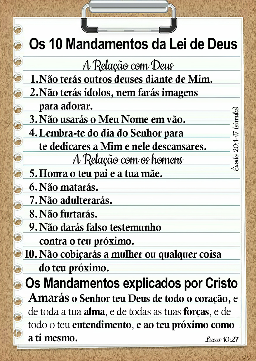 10 Mand Port Frente copiar